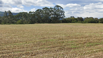 Terrenos Edificables En venta en Valdés photo 0