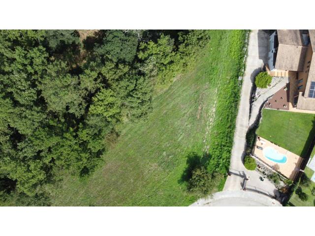 PARCELA EN VENTA EN SANT FELIU DE PALLEROLS photo 0