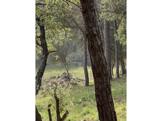 Terreno rústico en Castell d'Aro-S'Agaró photo 0
