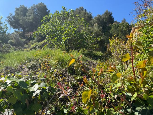 Suelo Urbanizable - Piera photo 0