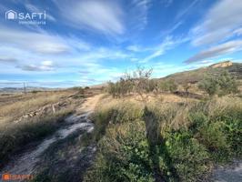 EXCLUSIVA OPORTUNIDAD PARCELAS RÚSTICAS EN CASAS DE SANCHIS (MONOVAR) photo 0