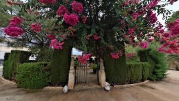 Campo único en Elda, una joya por descubrir photo 0