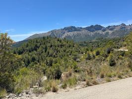 Terrenos Edificables En venta en Llíber photo 0