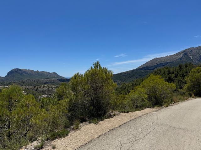 Terrenos Edificables En venta en Llíber photo 0