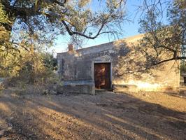 Suelo rústico - Reguers, Els photo 0