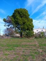 Unifamiliar aislada - Tortosa photo 0