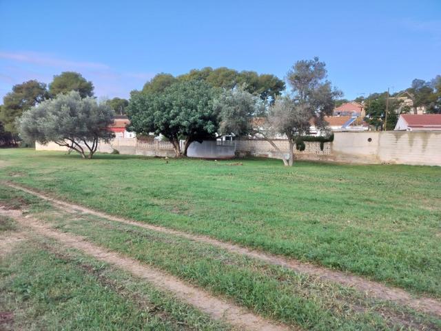 Terrenos Edificables En venta en Paterna photo 0