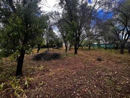 Agrícola En venta en Espinosa de Henares photo 0