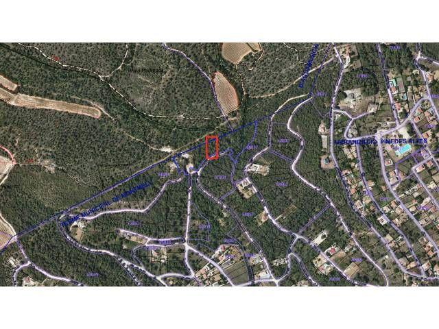 SOLAR EN VENTA EN EL MONTMELL photo 0