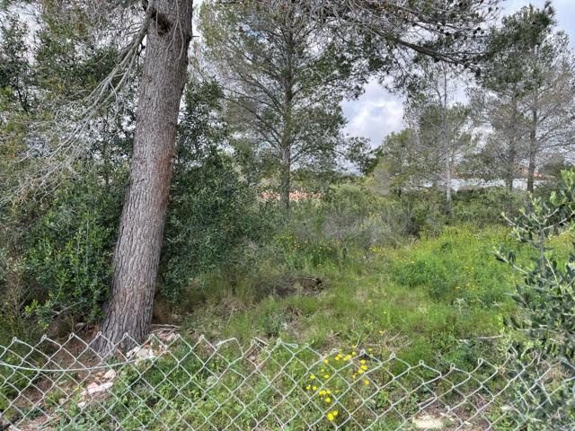 SUELO URBANO EN MONT-ROIG DEL CAMP (CASALOT EL) (TARRAGONA) photo 0