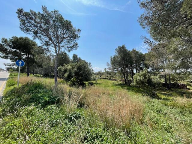 SUELO URBANIZABLE EN PLANA ESPANYOL. MONT-ROIG DEL CAMP (TARRAGONA) photo 0