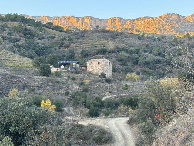 VENTA DE CRÉDITO – OPORTUNIDAD DE INVERSIÓN EN POBOLEDA photo 0