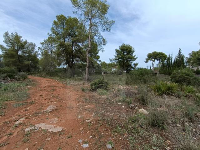 Terreno Urbanizable En venta en Bétera photo 0