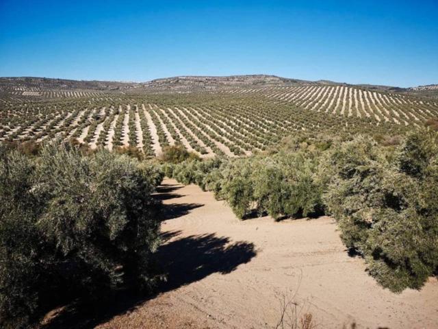 Terreno Urbanizable En venta en Ubeda photo 0