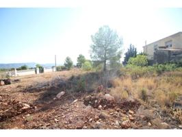 Parcela Llana photo 0