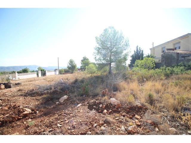 Parcela Llana photo 0