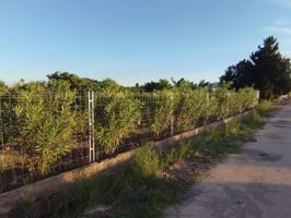 Espectacular terreno con residencial. photo 0