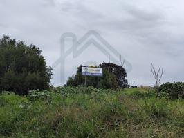 Terreno Urbanizable En venta en Los Palacios Y Villafranca photo 0