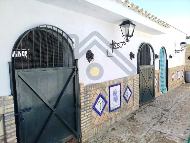 Otro En venta en Los Palacios Y Villafranca photo 0