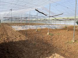 Otro En venta en Utrera photo 0