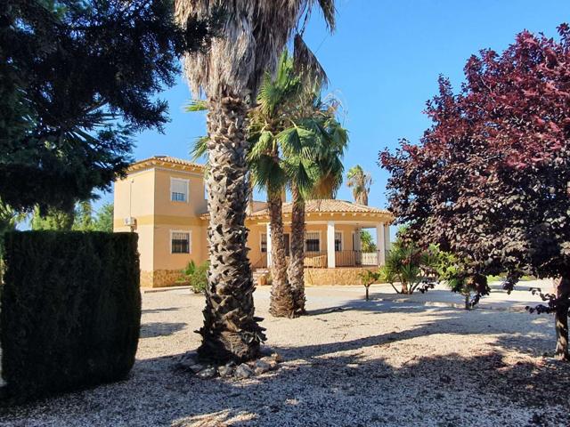 Villa En alquiler en Catral photo 0