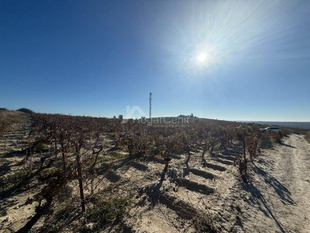 Terreno en venta en Bonanza-Martín Miguel-Monteolivete(11540) photo 0