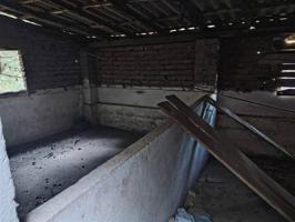 Ref. 105 Parcela con nave de aperos en Benarrabá photo 0