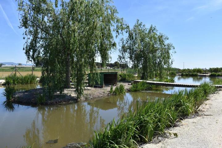 Magnifica finca rustica en el Parque natural del Delta del Ebro! photo 0