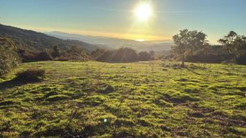 PARCELA EN A LAMA photo 0