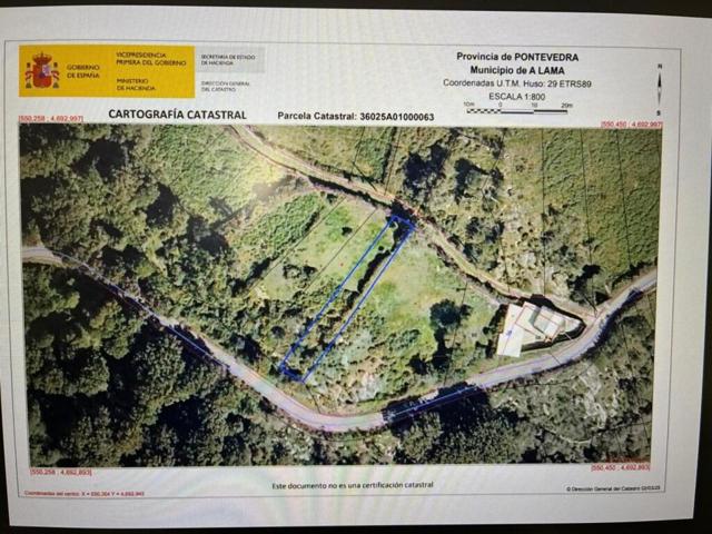 PARCELA EN LAMA photo 0