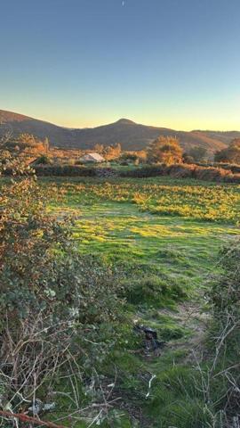 PARCELA EN LAMA photo 0