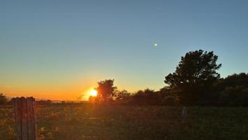 PARCELA EN LAMA photo 0