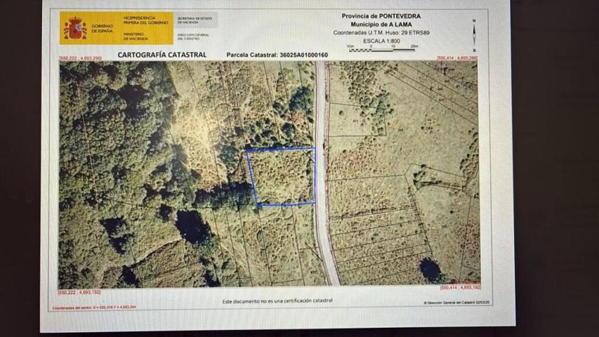 PARCELA EDIFICABLE EN A LAMA photo 0