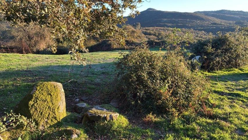 Terreno Edificable photo 0