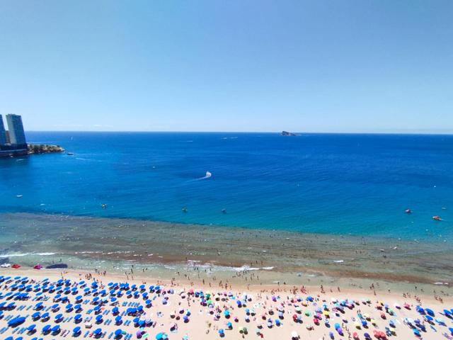 Estudio - Benidorm photo 0