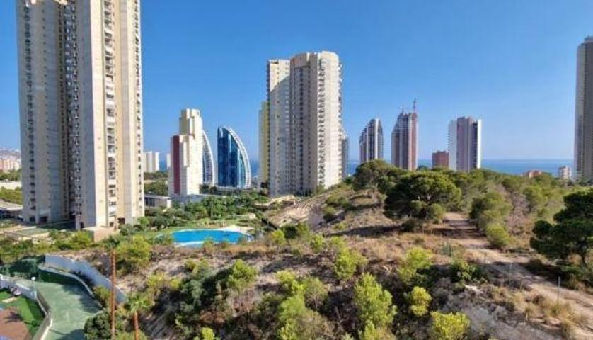 Piso - Benidorm photo 0