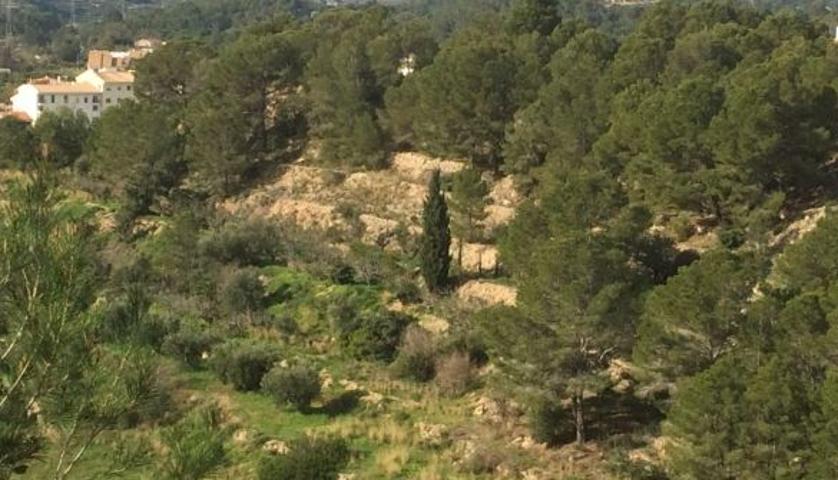 Suelo rústico - Altea la Vieja photo 0