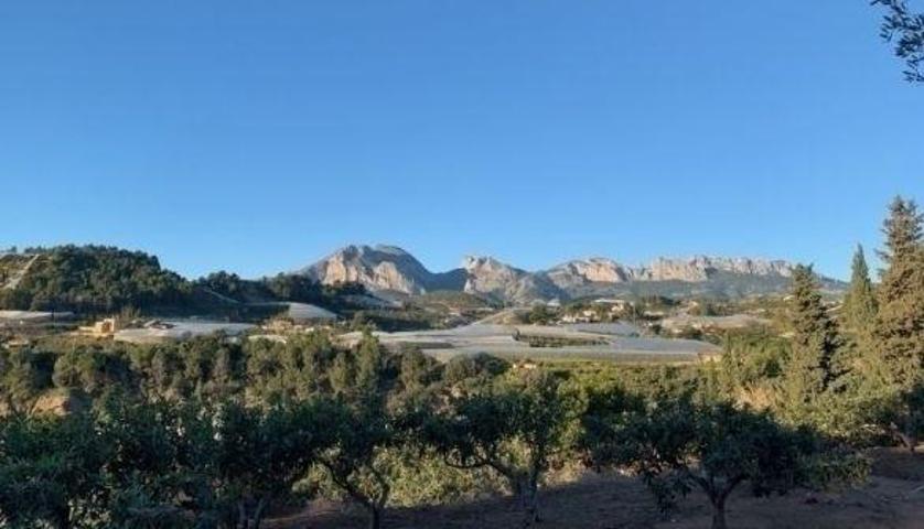 Suelo rústico - Callosa d En Sarrià photo 0