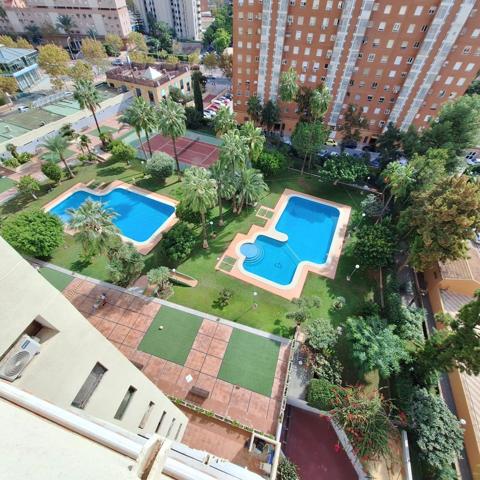 Piso - Benidorm photo 0
