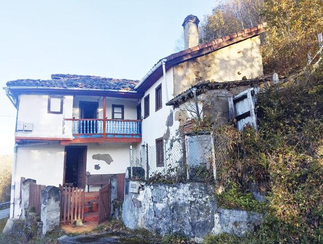 Unifamiliar Pareada En venta en Mieres photo 0