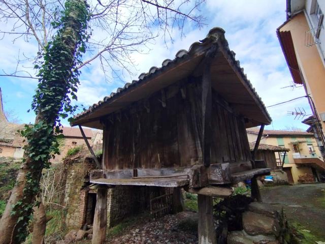 Unifamiliar Pareada En venta en Mieres photo 0