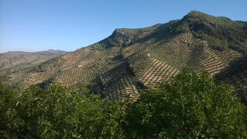 Terreno Urbanizable En venta en Villacarrillo photo 0