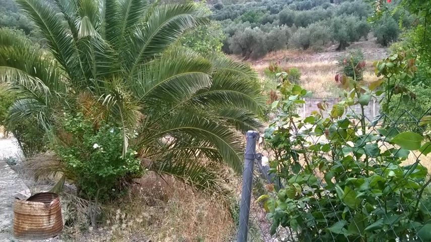 Terreno Urbanizable En venta en Belerdas. 23489, Quesada (jaén), Quesada photo 0