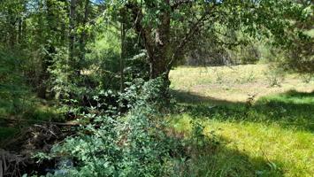 Terreno Urbanizable En venta en Siles photo 0