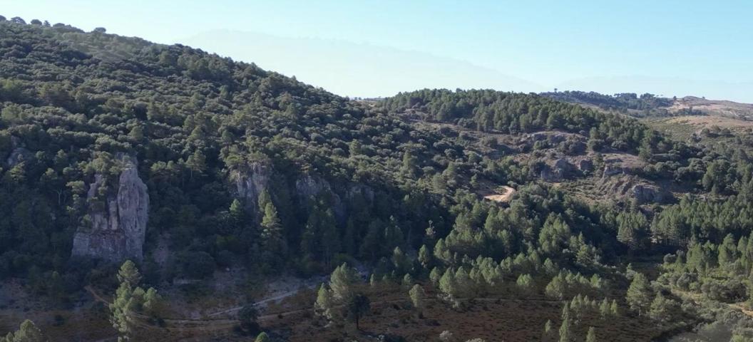 Terreno Urbanizable En venta en Santiago-Pontones photo 0