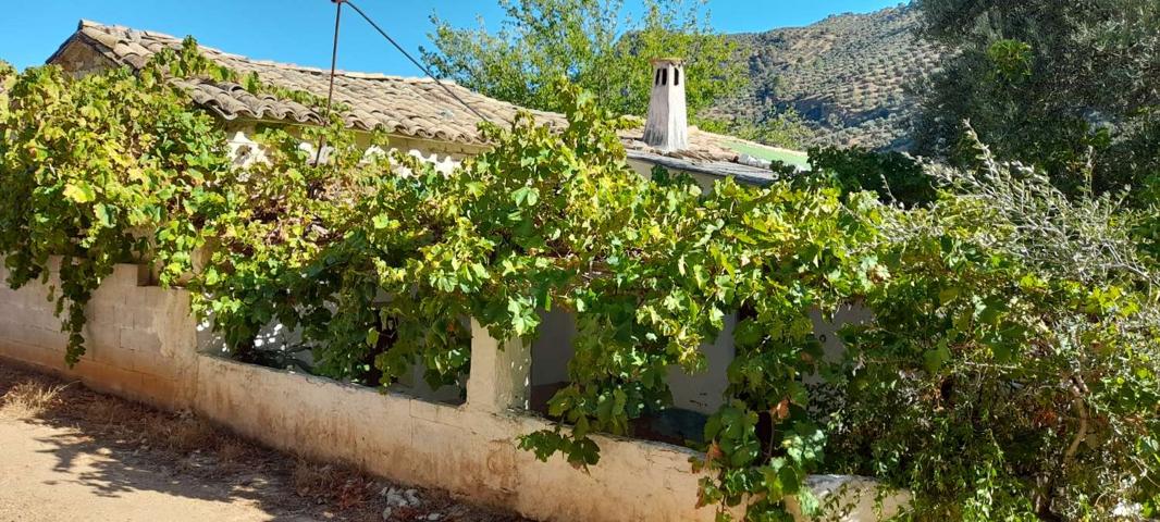 Terreno Urbanizable En venta en Carretera De La Sierra. 23310, Villacarrillo (jaén), Villacarrillo photo 0