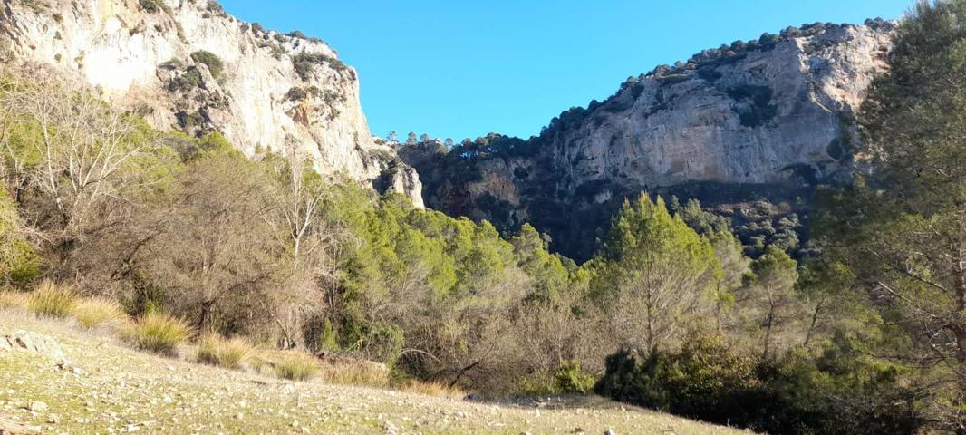 Terreno Urbanizable En venta en Sierra. 23311, Santo Tomé (jaén), Santo Tomé photo 0