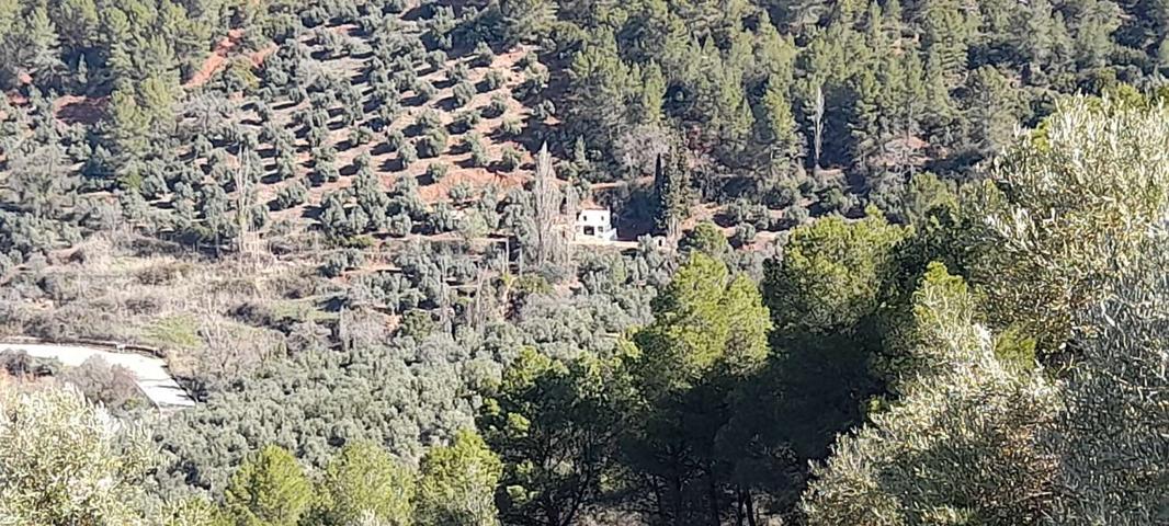Terreno Urbanizable En venta en Hornos De Segura. 23392, Segura De La Sierra (jaén), Segura De La Sierra photo 0