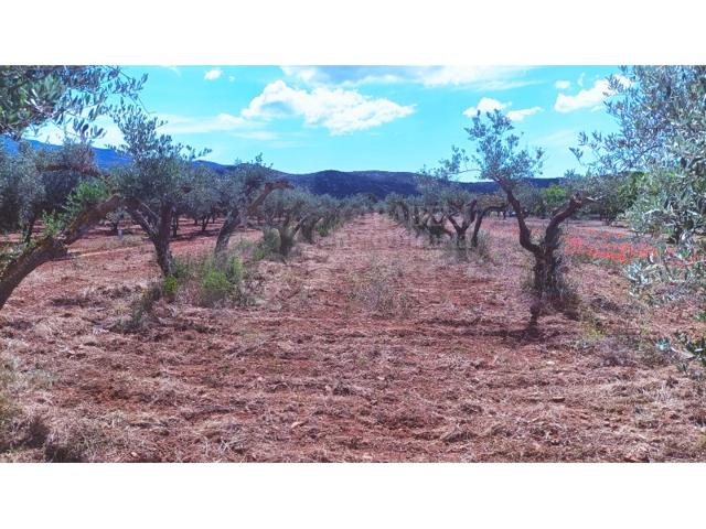 Otro En venta en Ulldecona photo 0