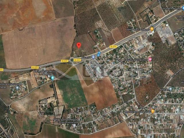 Otro En venta en Dos Hermanas photo 0